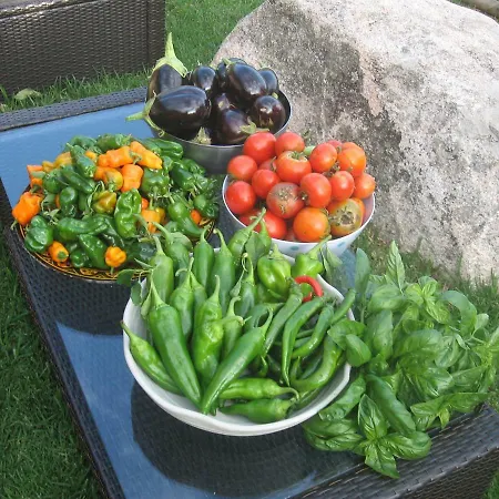 فندق مبيت وإفطار Les Jardins De Mathieu بورتو فيكشْيو