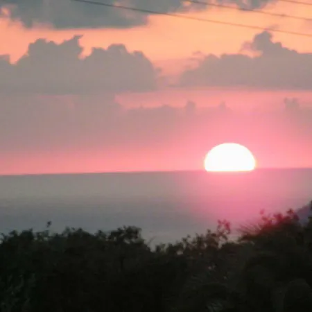 Les Jardins De Mathieu ポルトヴェッキオ