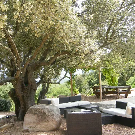 Les Jardins De Mathieu ポルトヴェッキオ