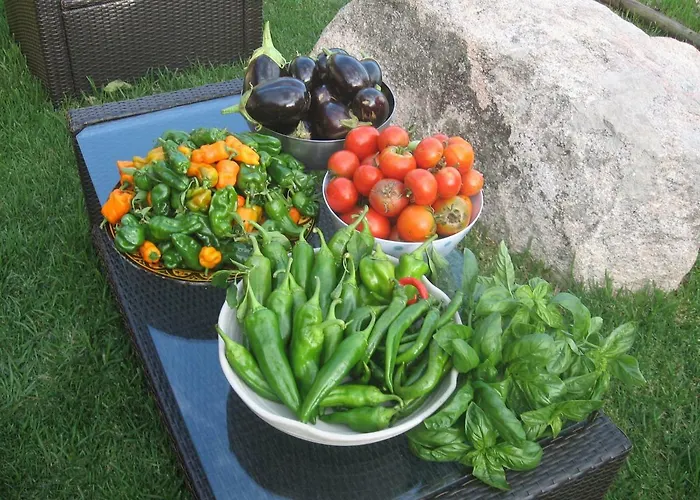 Frühstückspension Les Jardins De Mathieu Porto-Vecchio (Corsica)